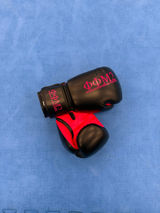 Fight Gloves - 10 oz - Pink on Pink