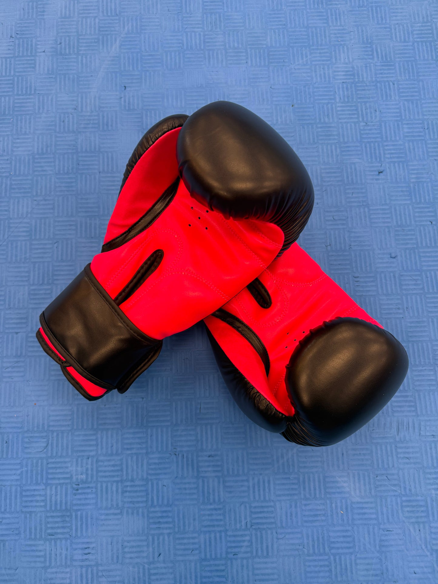 Fight Gloves - 10 oz - Pink on Pink