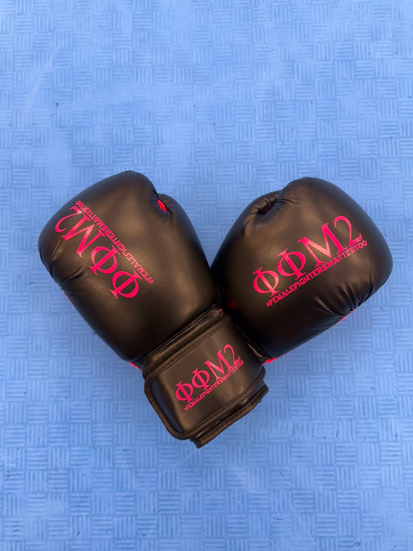 Fight Gloves - 10 oz - Pink on Pink